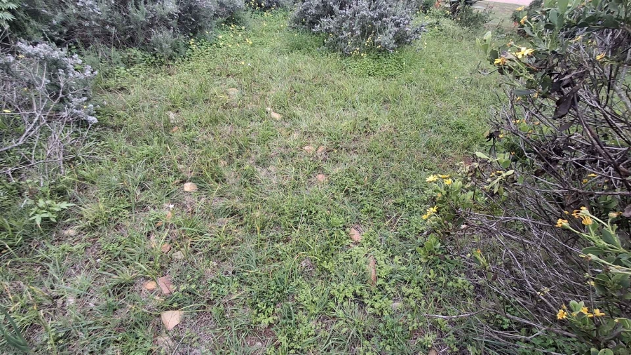 0 Bedroom Property for Sale in Vleesbaai Western Cape